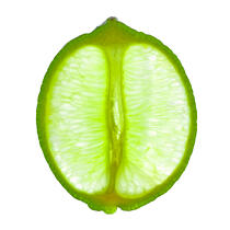 Citrus 3 © Philip Plisson / Plisson La Trinité / AA20639 - Photo Galleries - Fruit