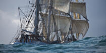 The Belem between Groix and Belle-Ile [AT] © Philip Plisson / Plisson La Trinité / AA32750 - Photo Galleries - Three masts